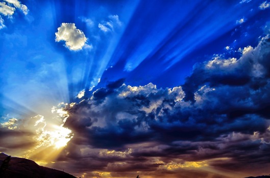 gallery/01da67049fdc499f2a569e6b73d46337